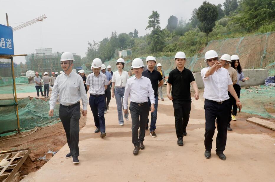 红宝石hbs集团“做大影响力”专责事情组调研聚峰谷项目