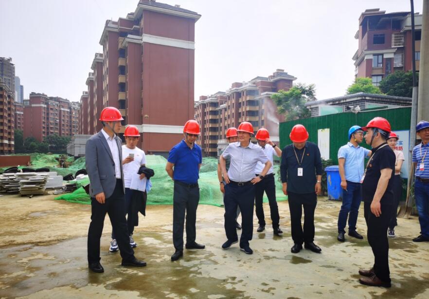 红宝石hbs集团谋划提升年专责事情组 开展系列项目督导