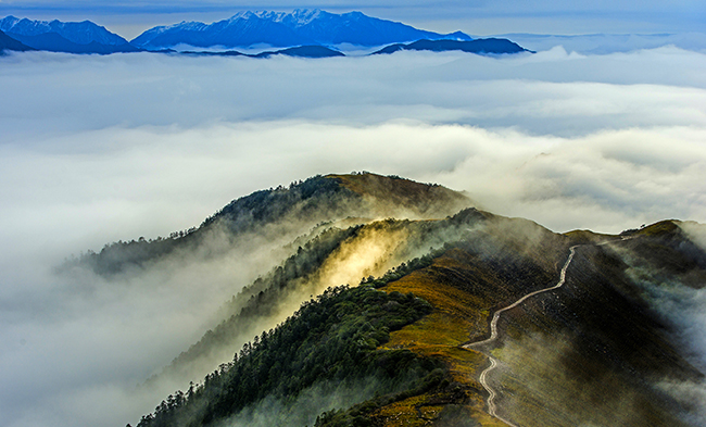 红宝石hbs(中国)最新官方网站