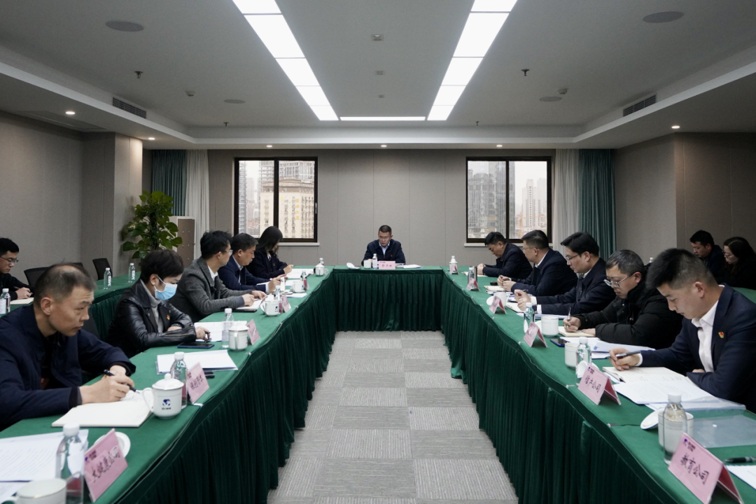 四川省红宝石hbs集团开展纪检监察干步队伍教育整理学习教育