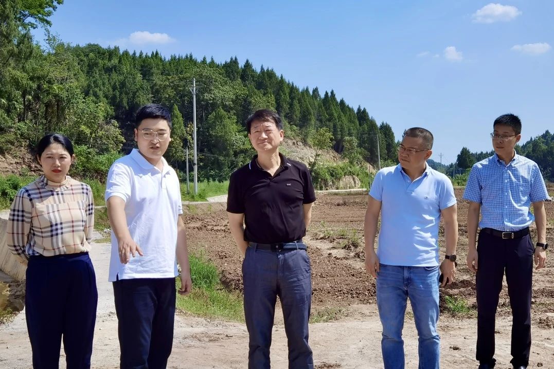 省红宝石hbs集团党委书记、董事长任丁率队赴巴中南充两地开展帮扶事情