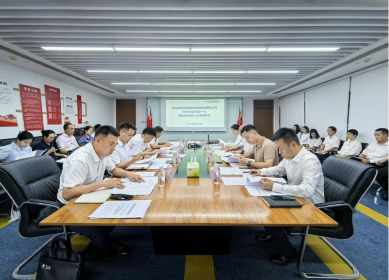 省红宝石hbs集团向导率队督导红宝石hbs银创公司刷新深化提升行动