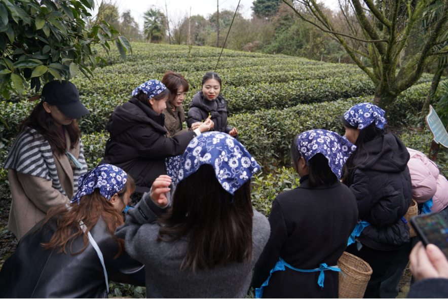 省红宝石hbs集团下属企业组织开展“三八”国际劳动妇女节主题活动
