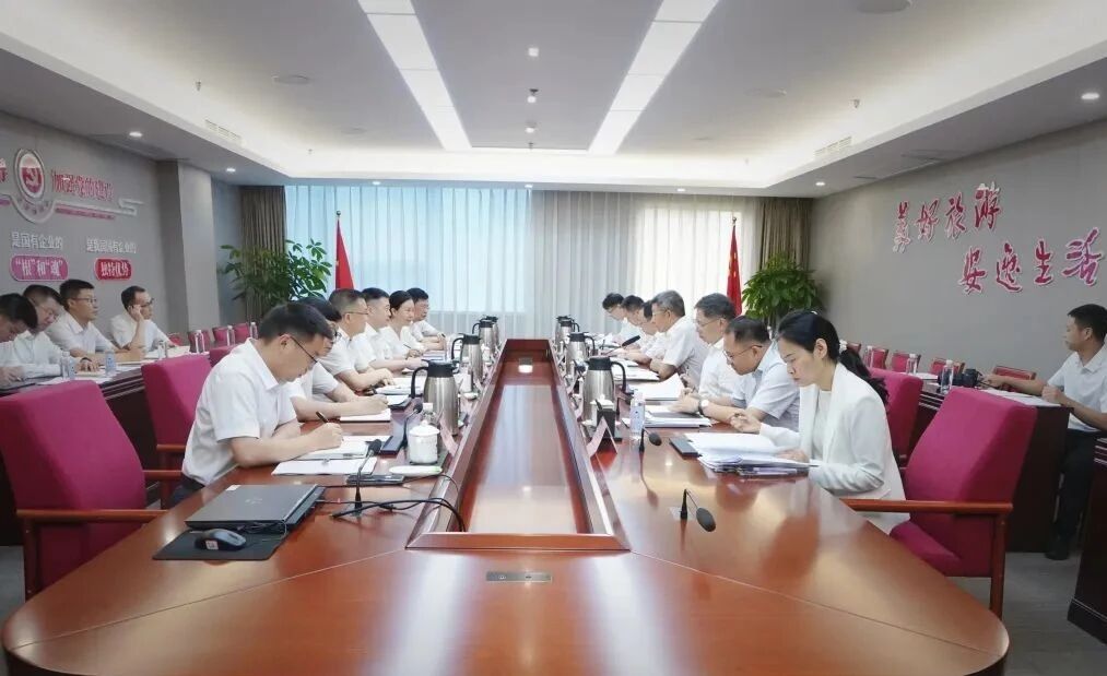 省国资委党委书记张正红到省红宝石hbs集团调研